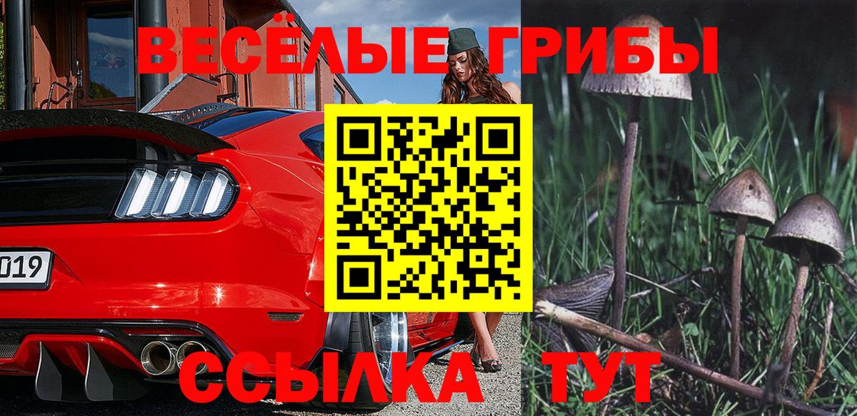 Семилуки  Псилоцибиновые грибы ЛСД  Вход с VPN 